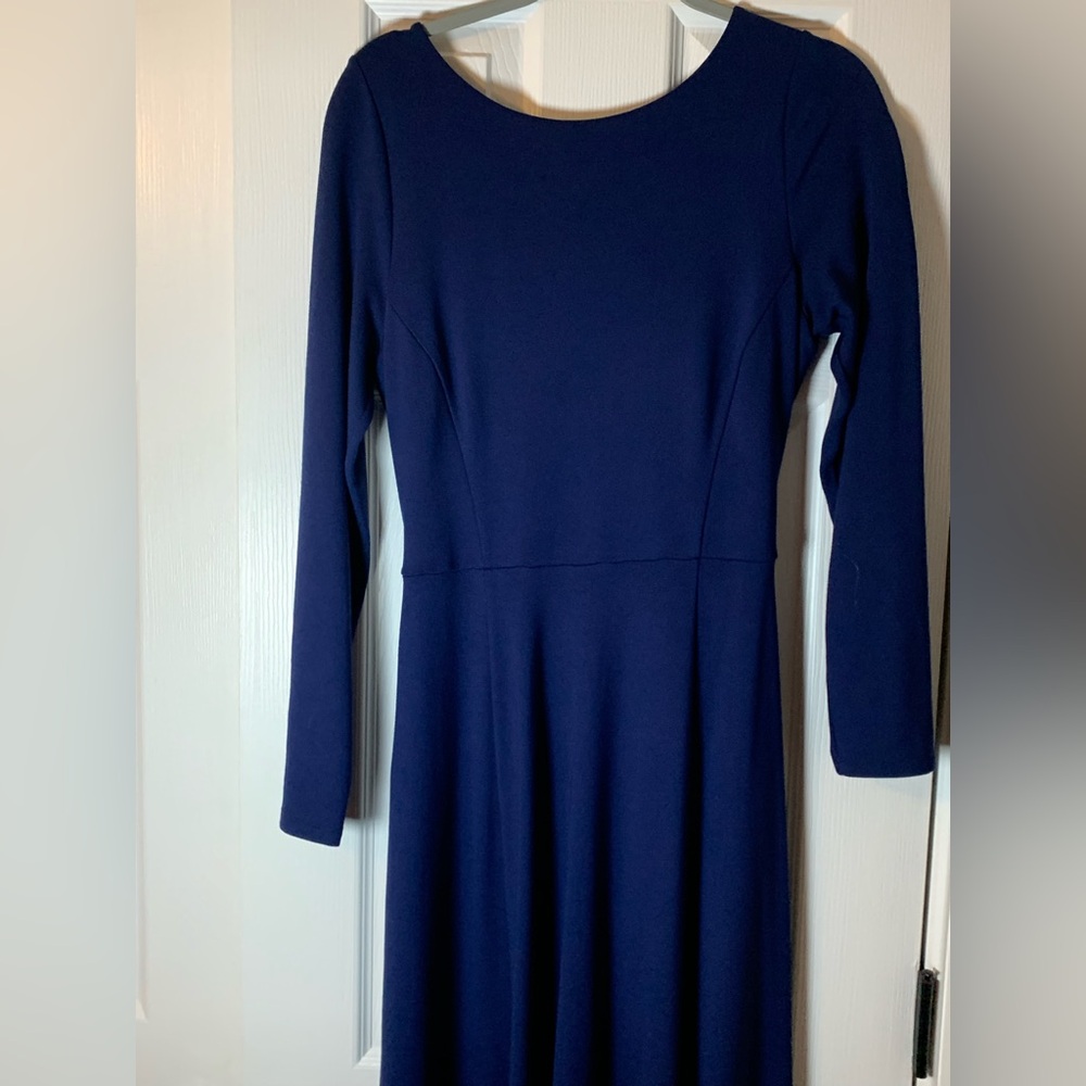 Hobbs London Chic Long Sleeve Navy Dress